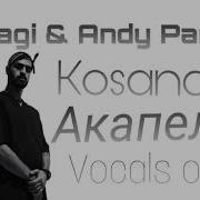 Miyagi Andy Panda Accapela