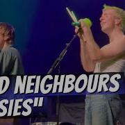 Daisies Good Neighbours