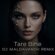 Tare Bine Dj Maldavanov