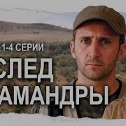 След Саламандры Аудиокнига