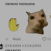 Aka Kira Meme