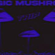 Mushroom Music