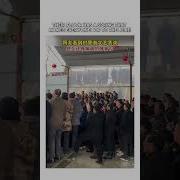 Dancing Bazll Club Li