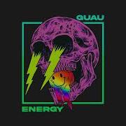 Guau Energy
