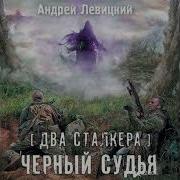 Два Сталкера Черный Судья Аудиокнига