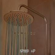 Мишура Speed Up