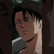 Kamuna Levi Tiktok