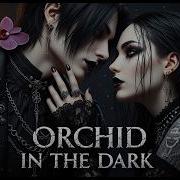 Orchid In The Dark