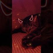 Scratte Sound Effect Sage