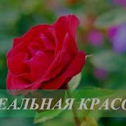 Саблиминал