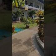 Patong Koneng
