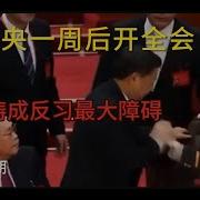 1067期老灯
