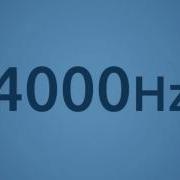 4000 Hz