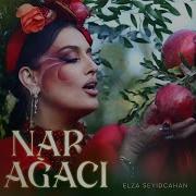 Nar Agaci