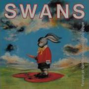 Swans Love Will Save You