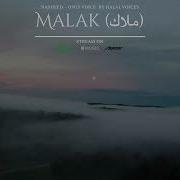 Halal Voices