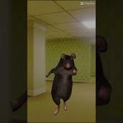 Рат Рат Рат