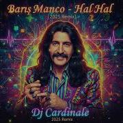 Hal Hal Remix