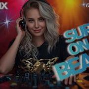 Owner Dj Going To The Beach