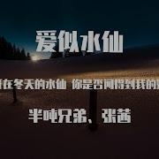 盛开在冬天的水仙歌词