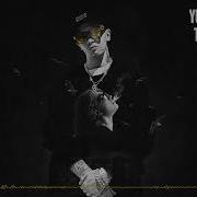 Trapflow 7