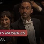 Fôrets Paisibles