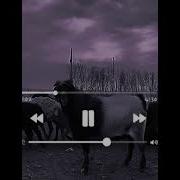 Терме Жети Ешки