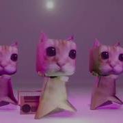 Chipi Chipi Chapa Chapa