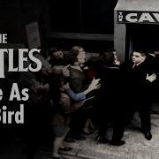 Free As A Bird Beatles