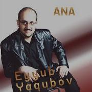 Dut Agaci Boyunca