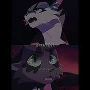 Shadowsight Ivypool Breezepelt Warrior Cats Edit
