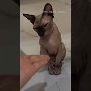 Z3Wgfvnn4Yo