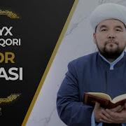 Laylatul Qadr Surasi
