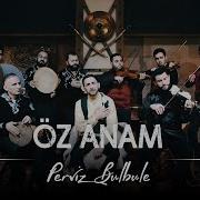 Perviz Oz Anam