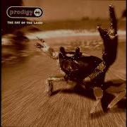 The Prodigy Mindfields Instrumental