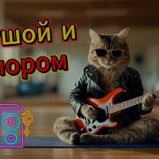 Припев Пашел На Цогу Там И Уснул