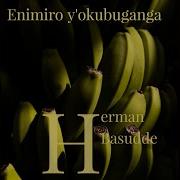 Musabo