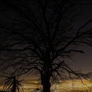 The Lonely Night Moby