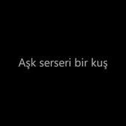 Sərsəri Bir Kus