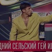Свиньи Геи