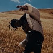 Travis Scott Swang 28Remix 29