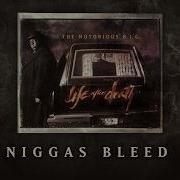 Biggie Nigga Bleed