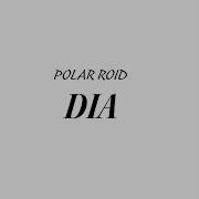 Dia Polar Roid