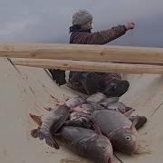 Хозяйка Тайги Книга 1