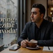 Inforing Sezilar Havodan