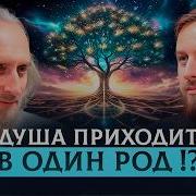 Родология