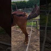 Yandex Cast Sex Video