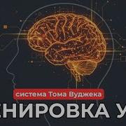 Том Вьюжек