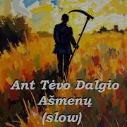 Mixerdj Ant Tevo Dalgio Asmenu
