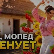 Кум Мопед І Менует Весела Ж